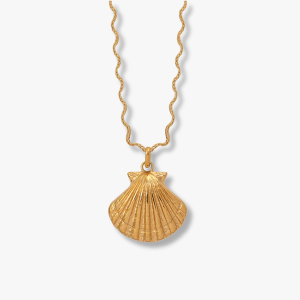 Llife VOLUTA SHELL NECKLACE Siren Shell Necklace – Carter Eve Jewelry